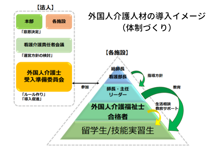 外国人介護人材の導入イメージ